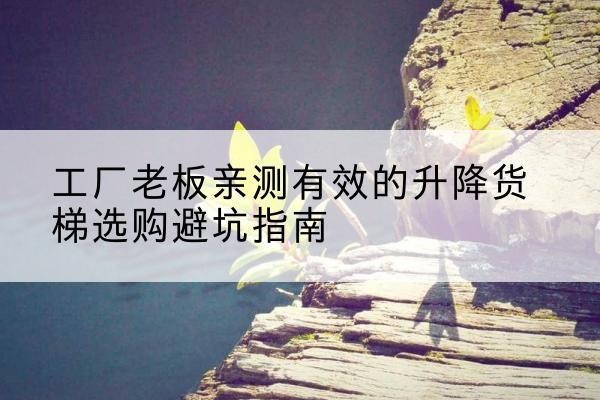 都兰升降货梯怎么选-工厂老板亲测有效的升降货梯选购避坑指南