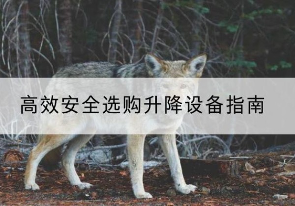 都兰升降货梯厂家推荐-*安全选购升降设备指南