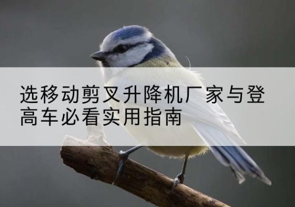 都兰电动升降机厂家-选移动剪叉升降机厂家与登高车必看实用指南