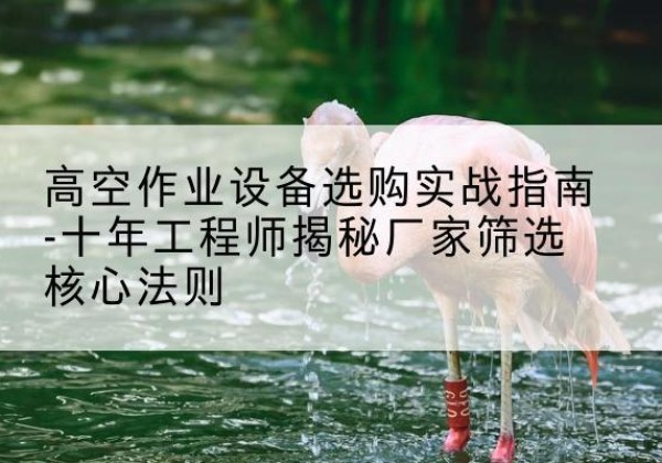 都兰剪叉式升降机厂家-高空作业设备选购实战指南-十年工程师揭秘厂家筛选核心法则